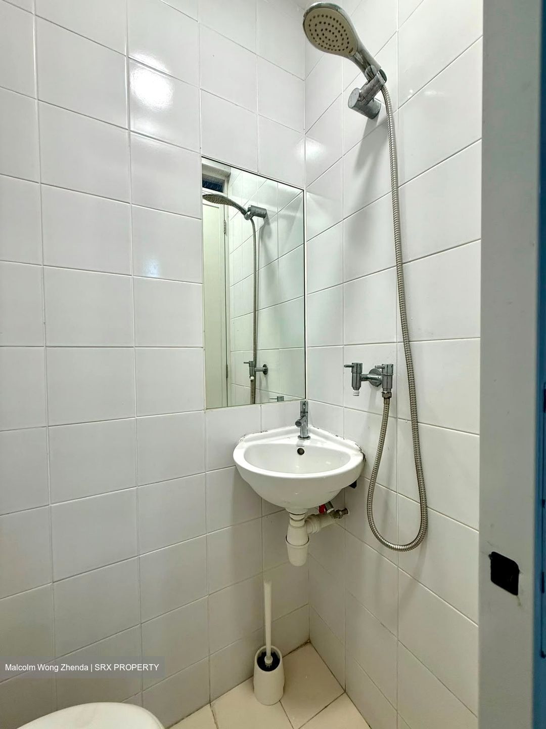 Parc Vera (D19), Condominium #584895491